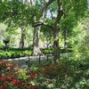 Rich Big Brother: Gramercy Park's Private Fences Are Watching